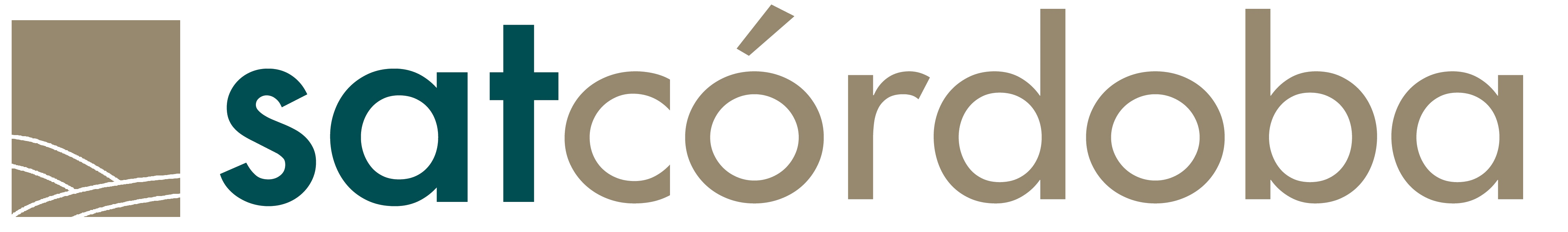 LOGO SAT png